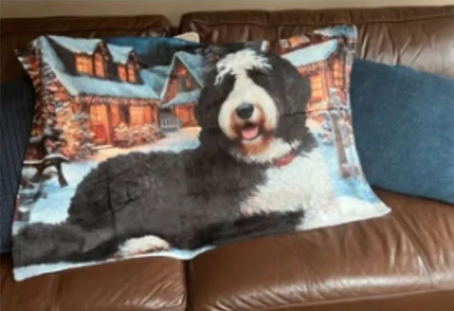 Bernedoodle blanket with a snowy cabin scene draped over a leather couch