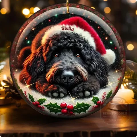 Black doodle ornament with holly, personalized Stella